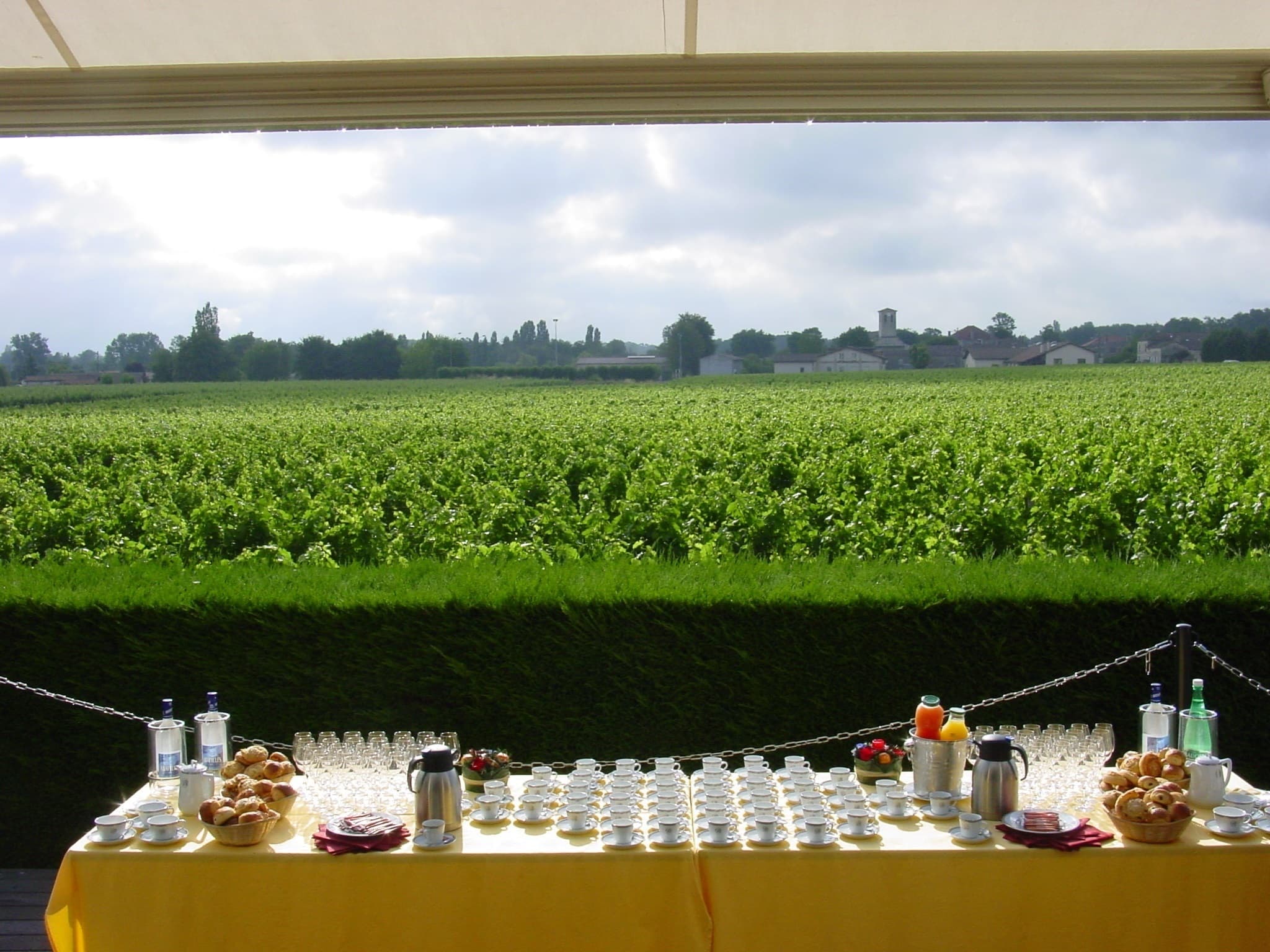 Pause sur la terrasse du Château Bertinerie, face aux rangs de vignes