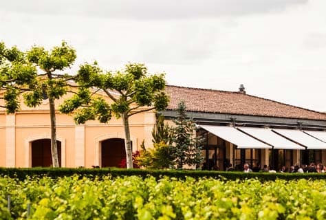 Terrasse de la salle de réception devant les vignes de Bertinerie